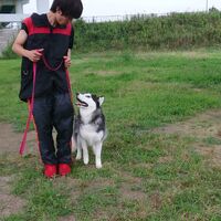 画像1405